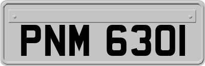 PNM6301
