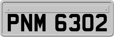 PNM6302
