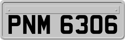 PNM6306