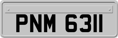 PNM6311