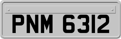 PNM6312