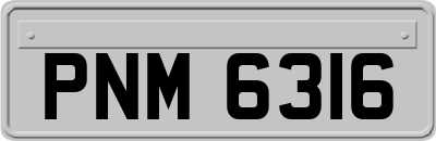 PNM6316
