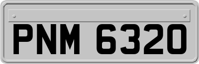 PNM6320