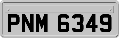 PNM6349