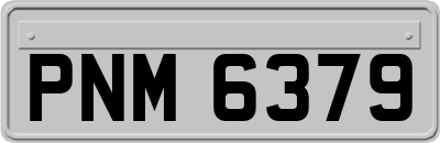 PNM6379