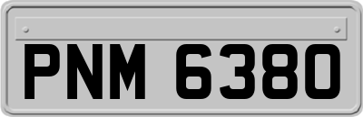 PNM6380
