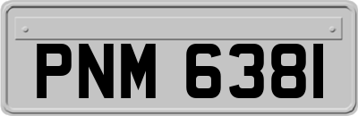 PNM6381