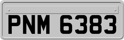 PNM6383