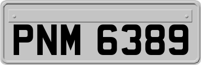 PNM6389