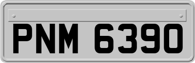 PNM6390