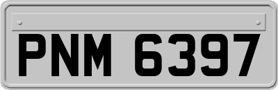PNM6397