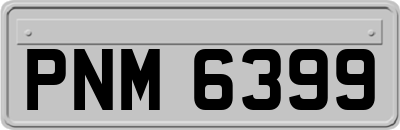 PNM6399