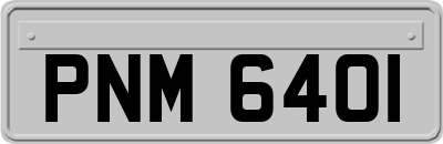 PNM6401