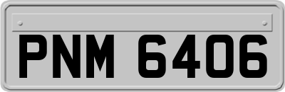 PNM6406
