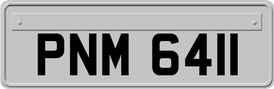 PNM6411