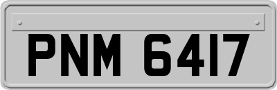 PNM6417
