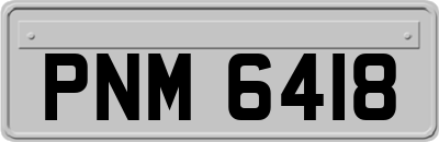 PNM6418