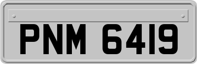 PNM6419