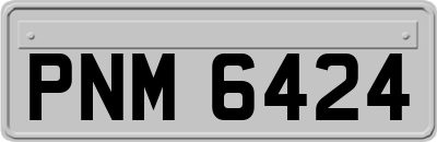 PNM6424