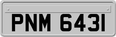 PNM6431