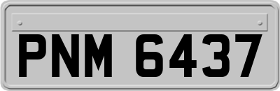 PNM6437