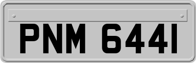 PNM6441