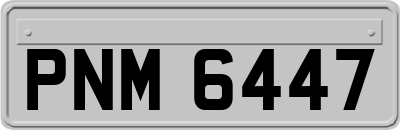 PNM6447