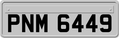 PNM6449