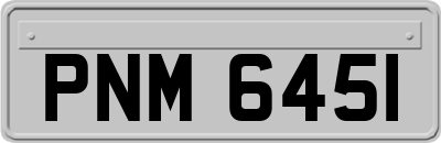 PNM6451