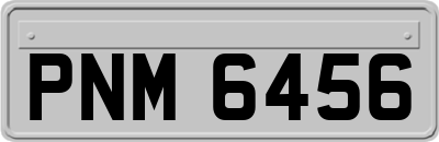 PNM6456