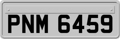 PNM6459