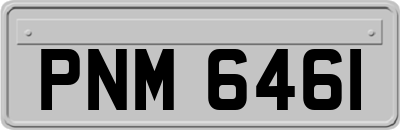 PNM6461