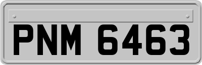 PNM6463