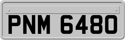 PNM6480