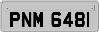 PNM6481