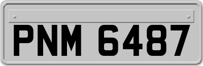 PNM6487