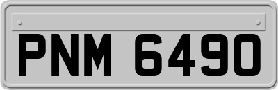 PNM6490