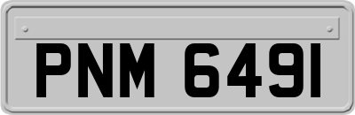 PNM6491