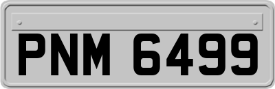 PNM6499