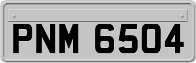 PNM6504