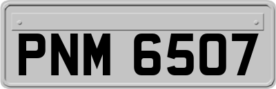 PNM6507