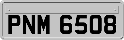 PNM6508