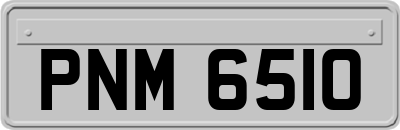 PNM6510
