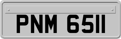 PNM6511