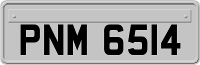 PNM6514