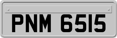 PNM6515