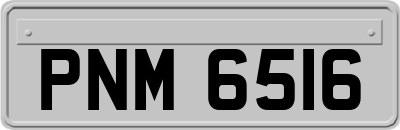 PNM6516