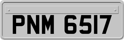 PNM6517