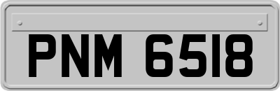 PNM6518