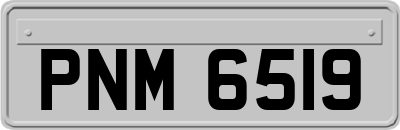 PNM6519